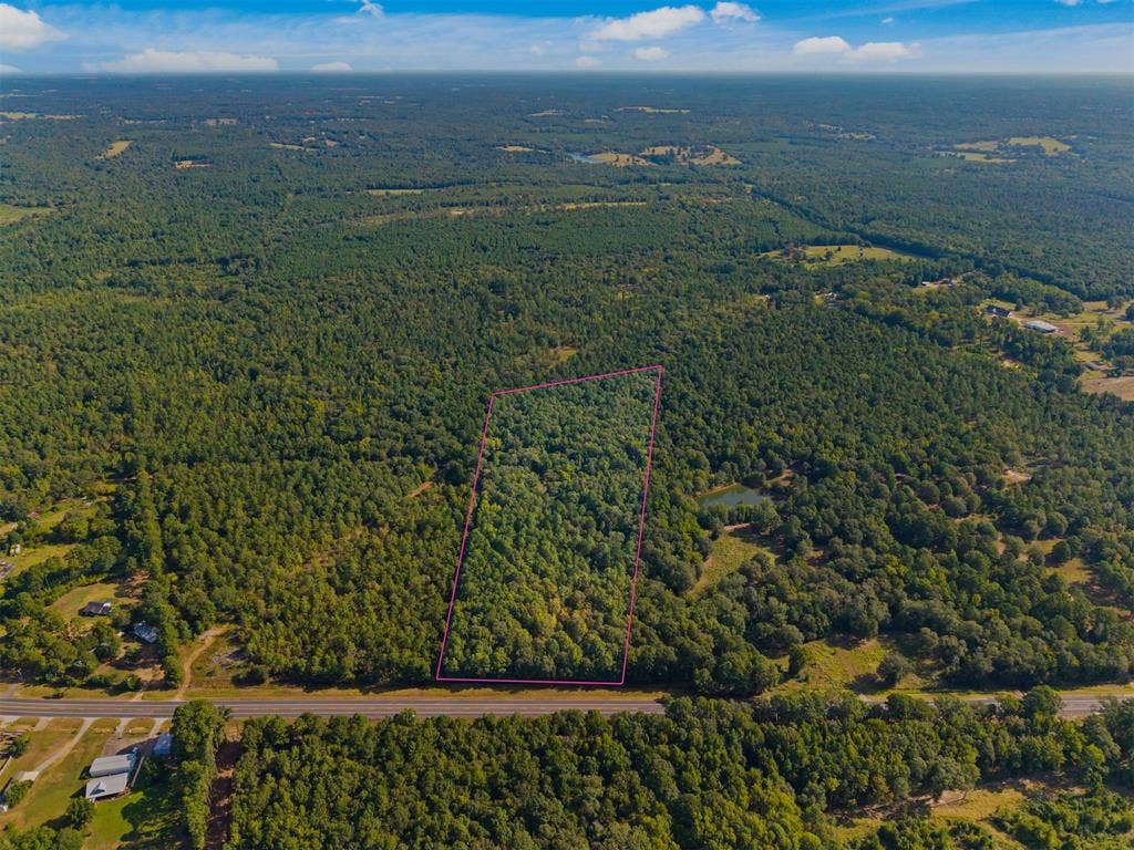 23791 State Highway 64 E, Troup, TX 75789 Expansive wooded acreage with road frontage and a clearly defined boundary