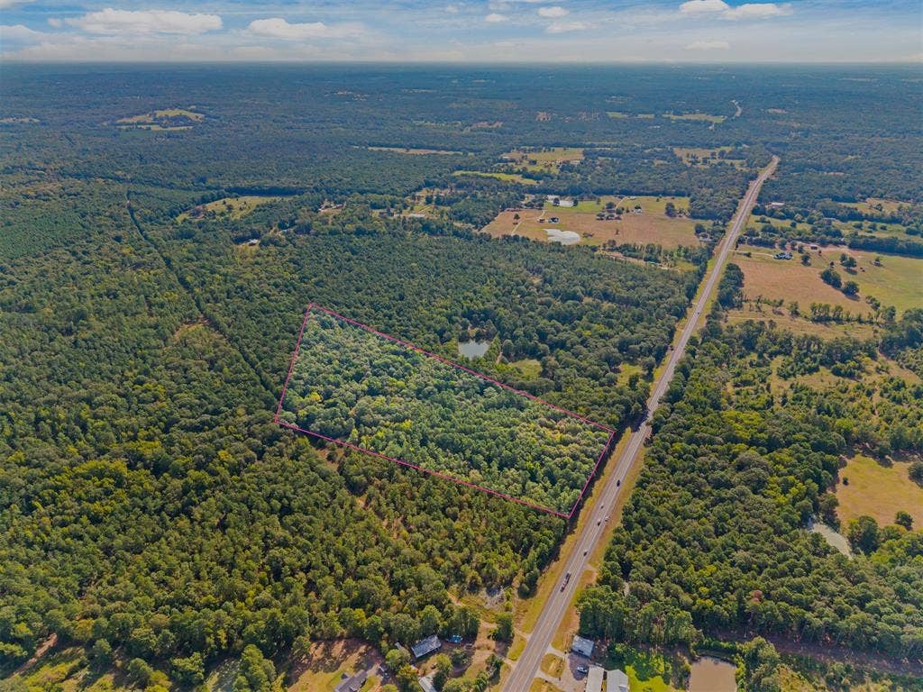 23791 State Highway 64 E, Troup, TX 75789 Expansive forested lot with a pond, bordering a highway