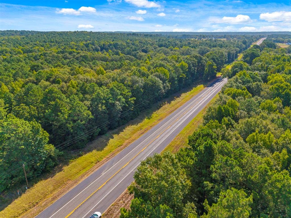23791 State Highway 64 E, Troup, TX 75789 Expansive wooded landscape with a paved road