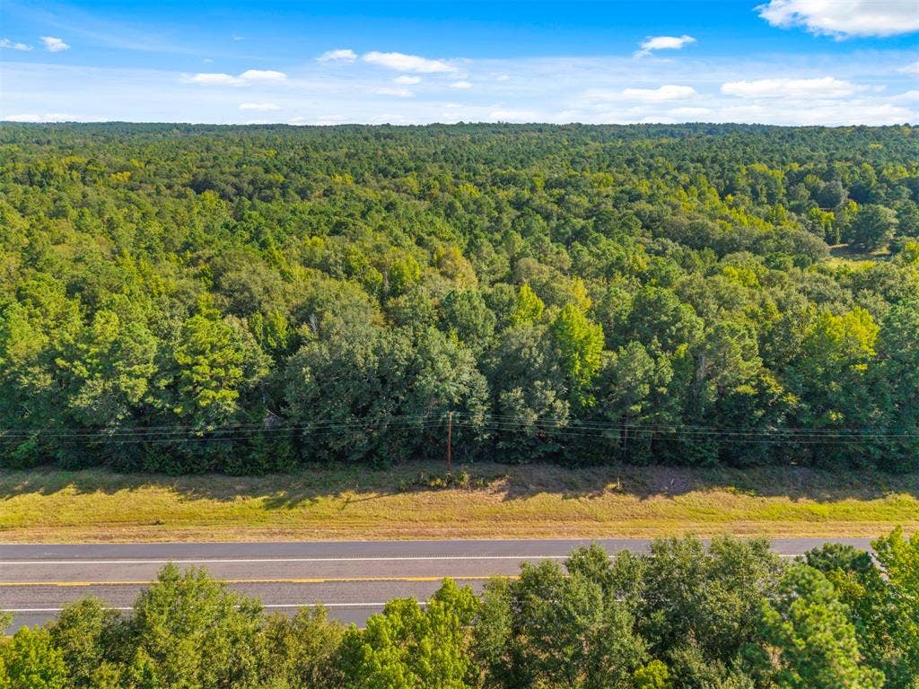 23791 State Highway 64 E, Troup, TX 75789 Expansive wooded acreage with a paved road frontage