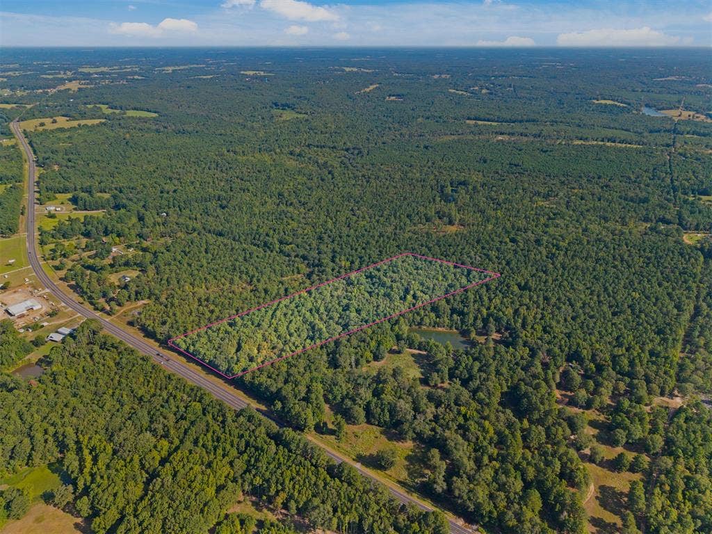 23791 State Highway 64 E, Troup, TX 75789 Expansive wooded acreage featuring a visible pond