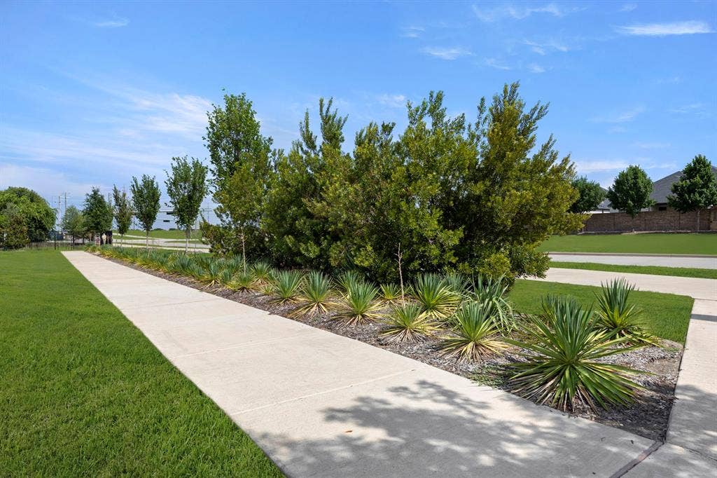 2523 Brunswick Way, Allen, TX 75013 11. Path (5).jpg