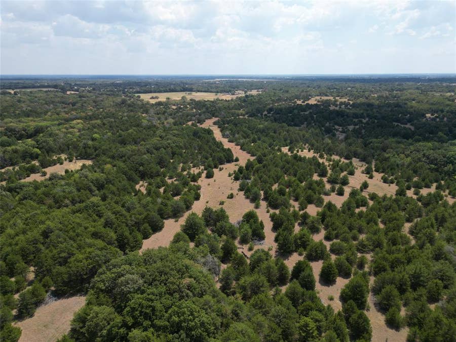 Property photo for 25 acres County Road 1019, Celeste, TX