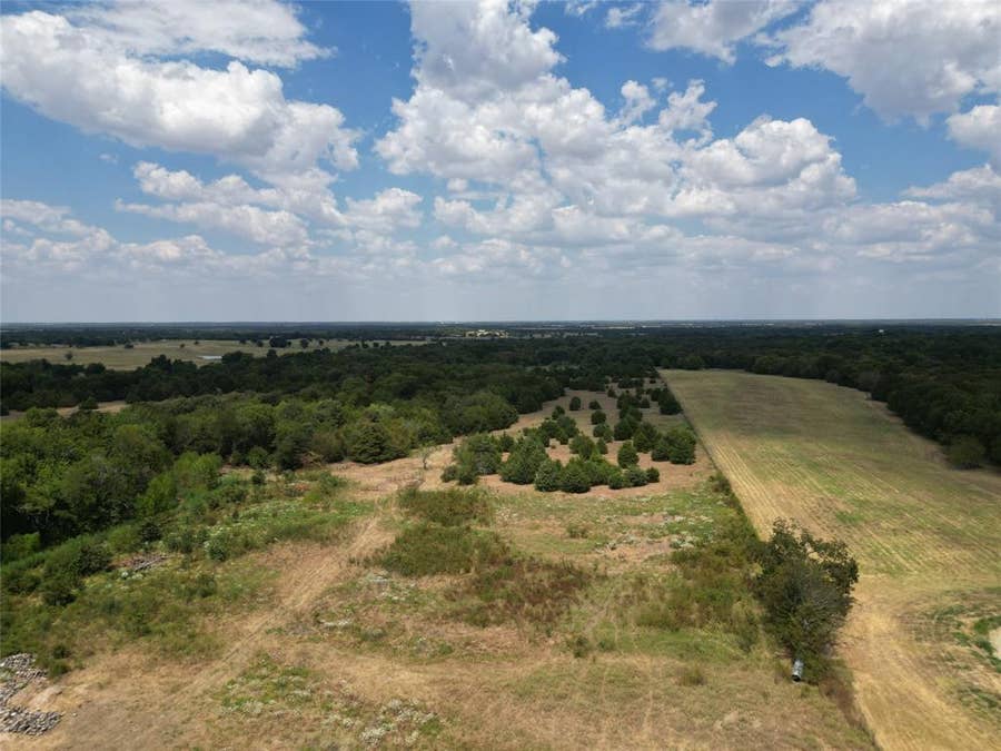 Property photo for 50 acres County Road 1026, Celeste, TX