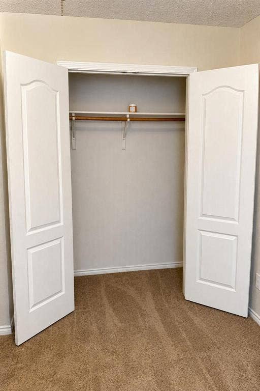 Two-panel interior doors opening to an organized closet space with a built-in rod