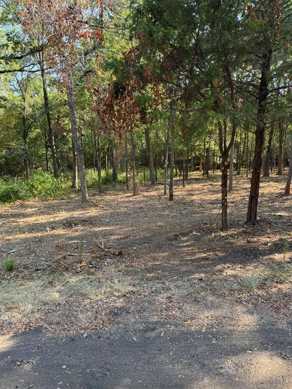 Property photo for TBD Garner Drive, Mabank, TX
