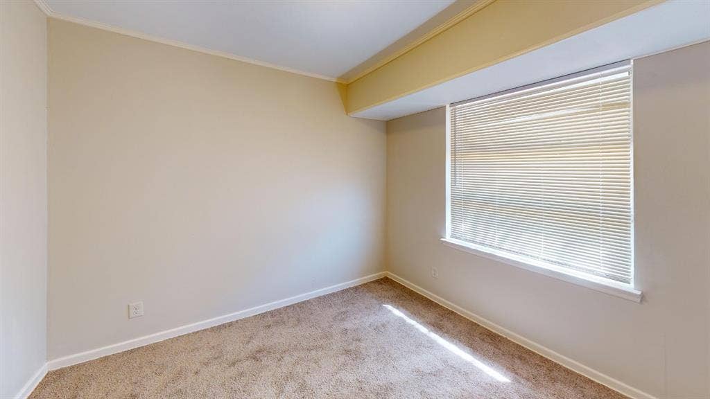 Wall-to-wall carpeting with neutral wall tones and a window with horizontal blinds