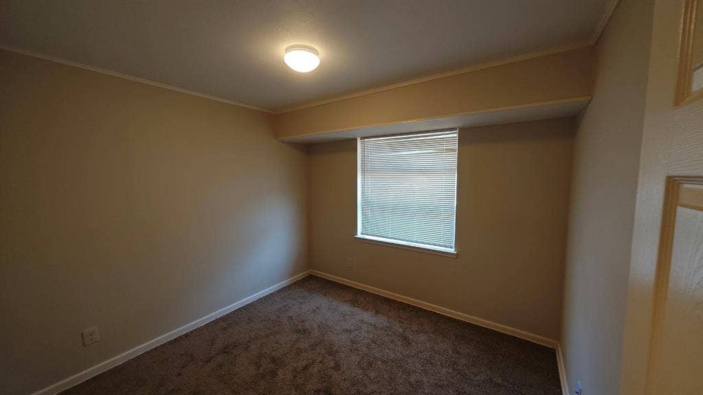Carpeted flooring, neutral wall tones, window with horizontal blinds, ceiling-mounted light fixture, and crown molding detail