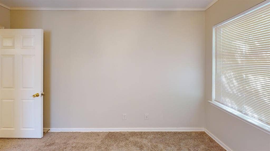Neutral wall paint, crown molding, a paneled interior door with brass hardware, a window with blinds, and carpeted flooring