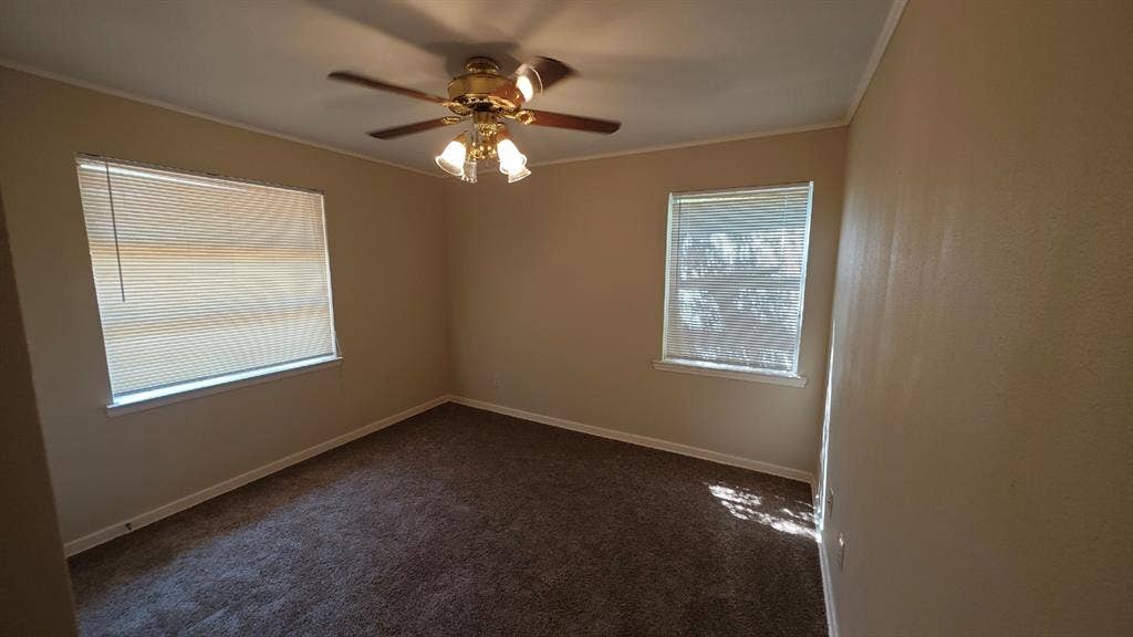 Textured walls, ceiling fan with light fixture, window blinds, and carpeted flooring