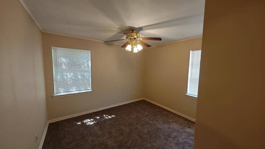 Carpeted flooring, two windows with blinds, ceiling fan with integrated lighting, and neutral wall tones