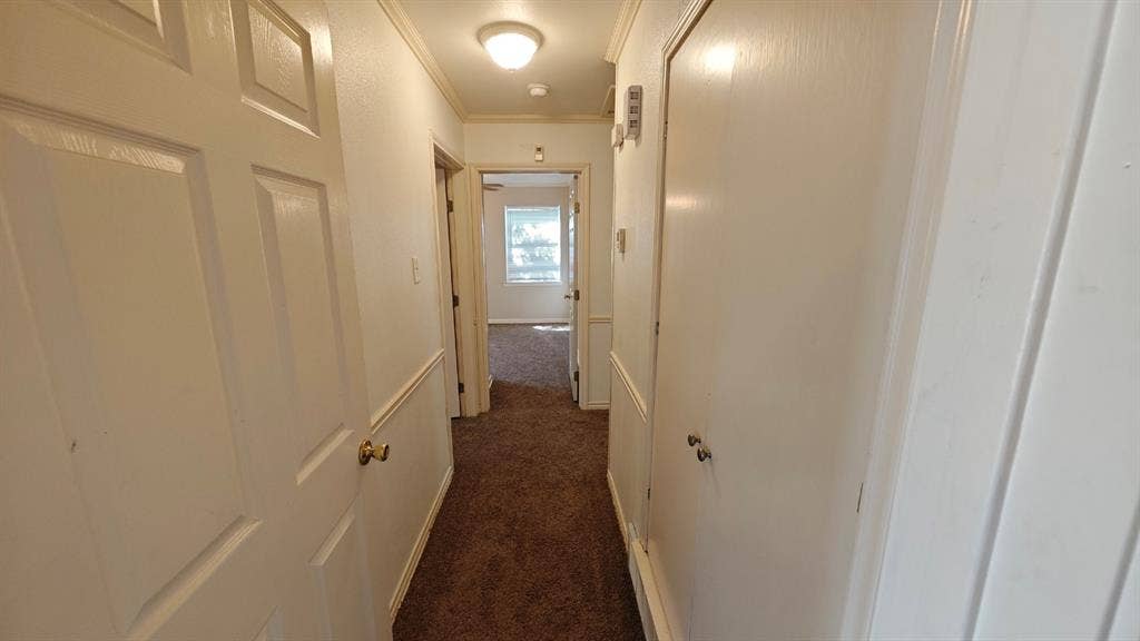 Hallway with neutral carpet, white panel doors, and chair rail molding