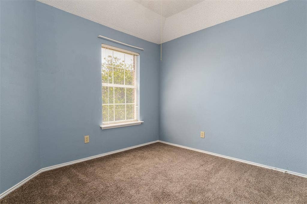 4500 Fargo Drive, Grand Prairie, TX 75052 Soft blue painted walls with carpet flooring