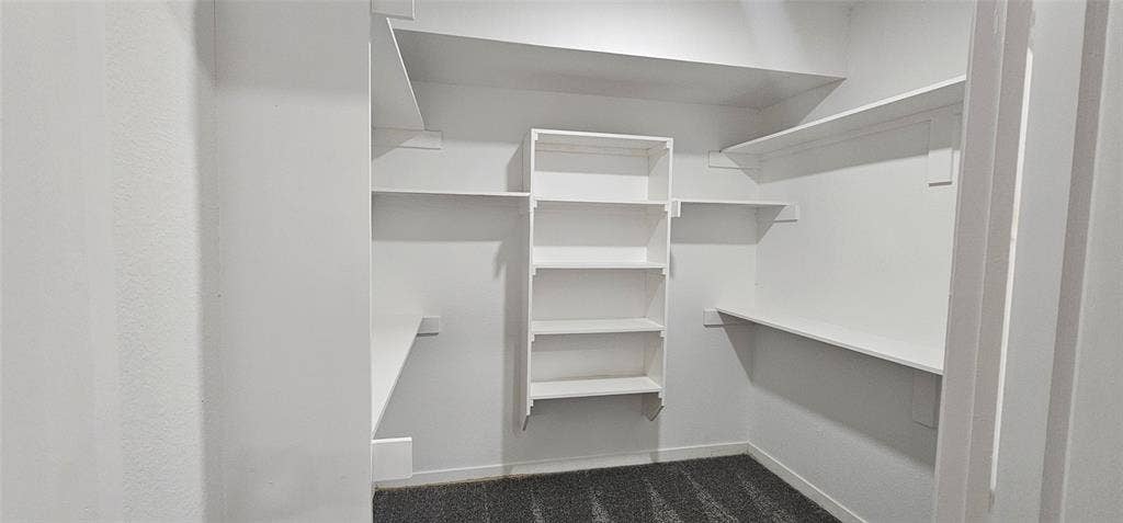 Expansive walk-in closet featuring extensive built-in shelving, white painted walls, and carpet flooring