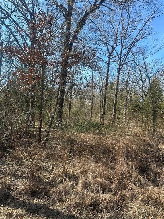 Property photo for 6149 Indian Harbor Drive, Mabank, TX