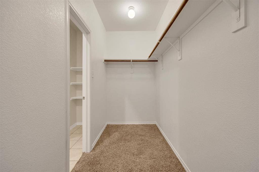 Recessed lighting, wall-mounted shelving, wood-finish hanging rods, and carpet flooring