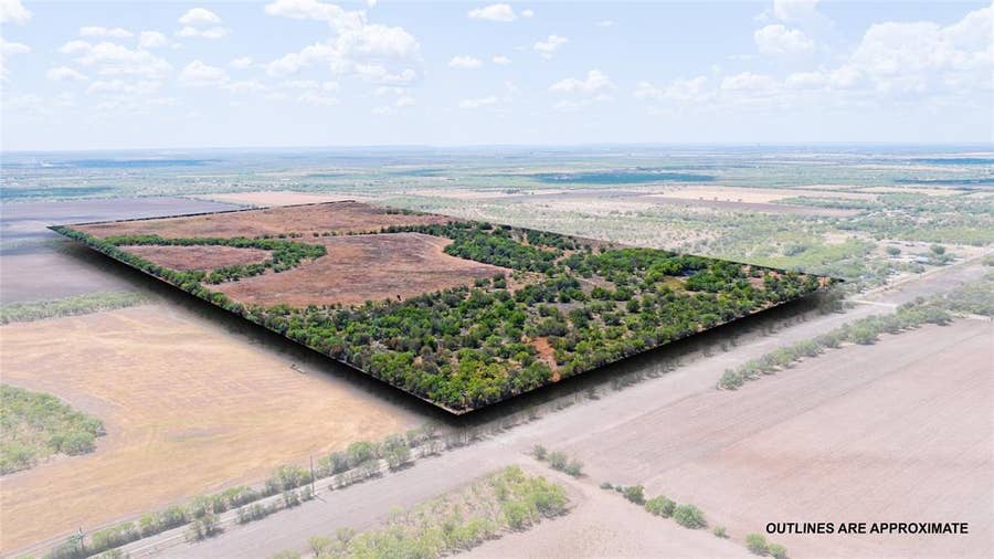 Property photo for TBD 84.1 Acres CR 151, Abilene, TX