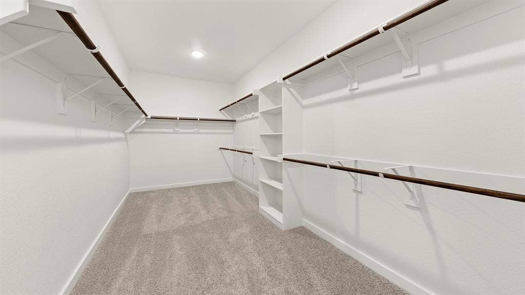 727 Clear Air Way, Lavon, TX 75166 Olive Primary Closet