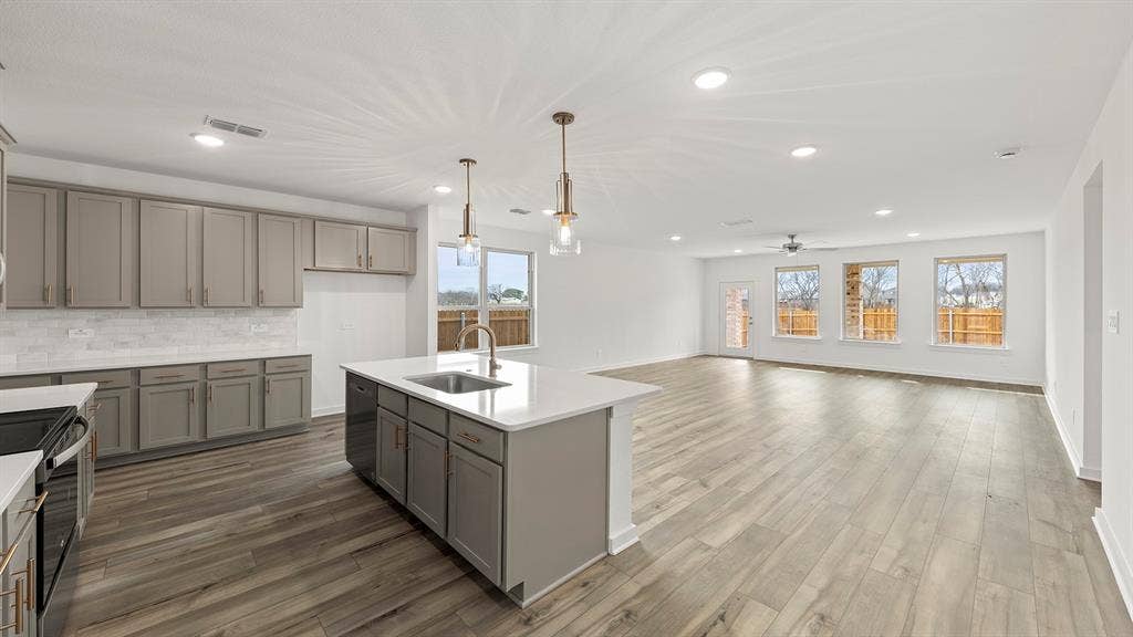727 Clear Air Way, Lavon, TX 75166 Olive Kitchen 3