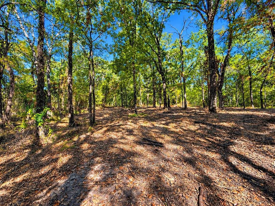Property photo for Lot 2 Wood Creek Drive, Lone Oak, TX