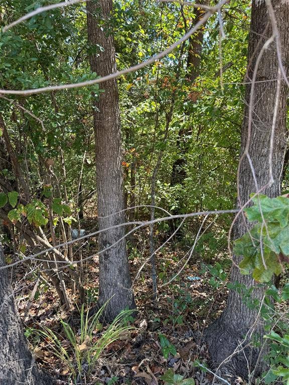 2605 20 W, Tyler, TX 75757 Wooded