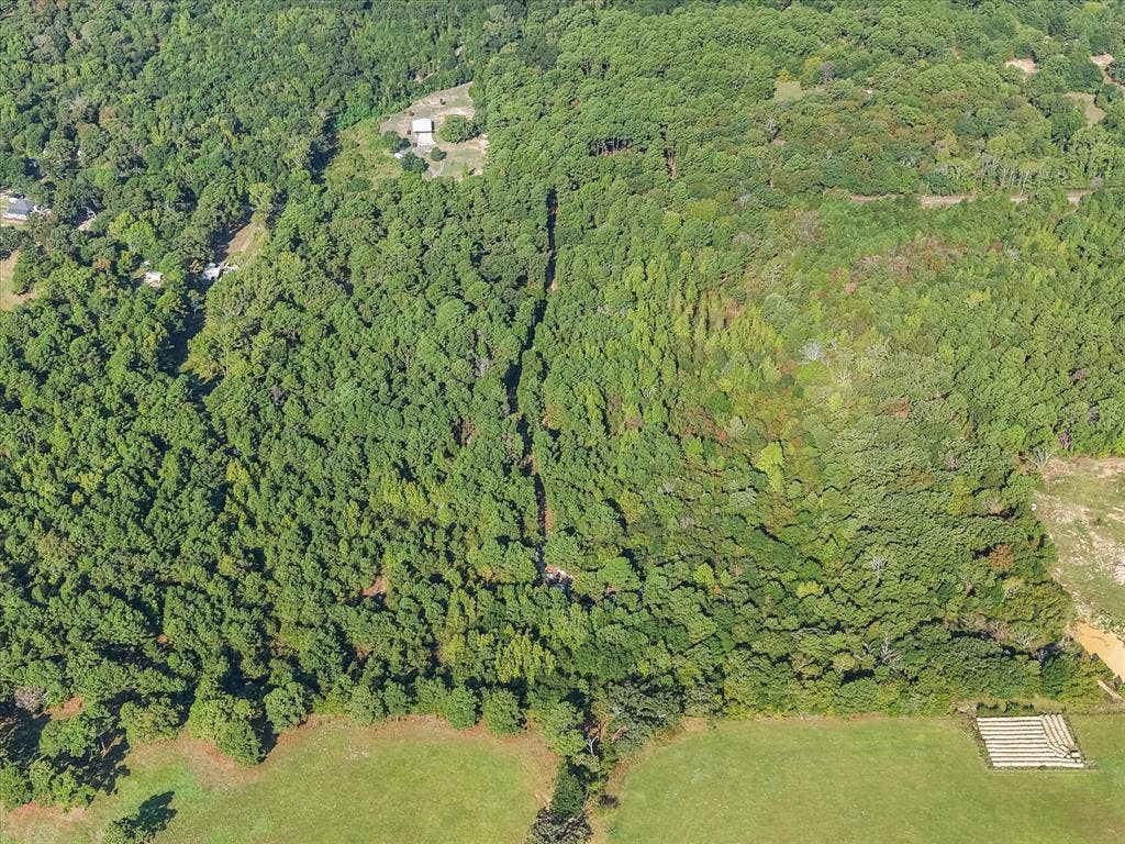 6723 County Road 4837, Larue, TX 75770 6723 County Road 4837, Larue, TX 75770
