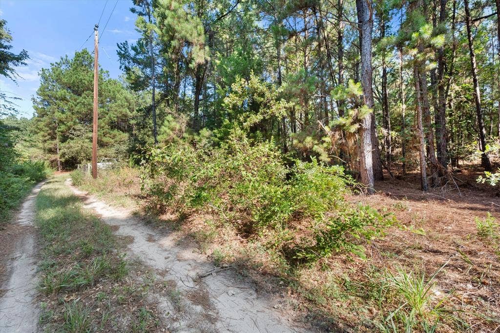 6723 County Road 4837, Larue, TX 75770 6723 County Road 4837, Larue, TX 75770