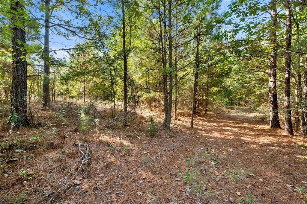 6723 County Road 4837, Larue, TX 75770 6723 County Road 4837, Larue, TX 75770