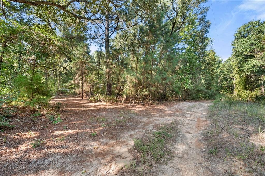 6723 County Road 4837, Larue, TX 75770 6723 County Road 4837, Larue, TX 75770