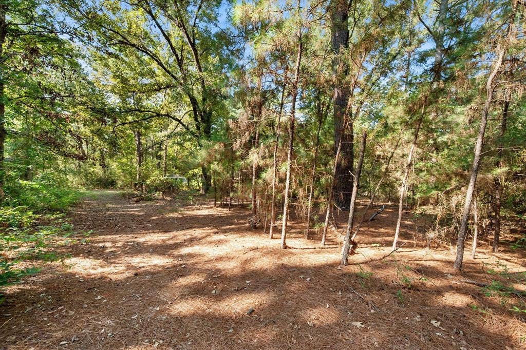 6723 County Road 4837, Larue, TX 75770 6723 County Road 4837, Larue, TX 75770