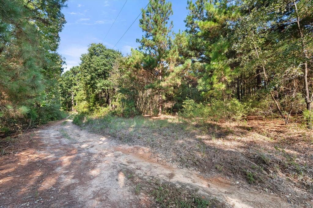 6723 County Road 4837, Larue, TX 75770 6723 County Road 4837, Larue, TX 75770