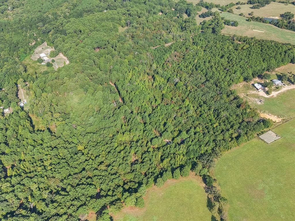 6723 County Road 4837, Larue, TX 75770 6723 County Road 4837, Larue, TX 75770