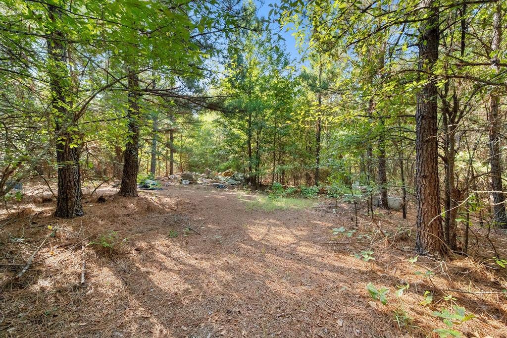 6723 County Road 4837, Larue, TX 75770 6723 County Road 4837, Larue, TX 75770