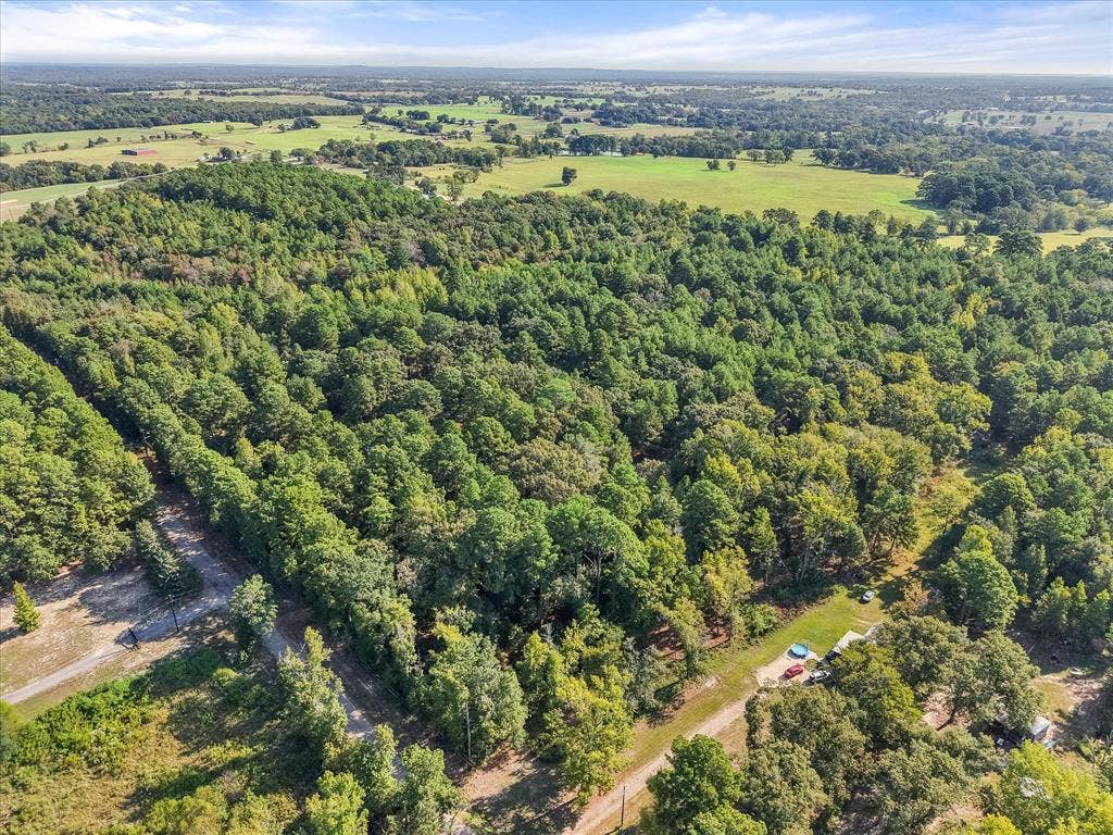 6723 County Road 4837, Larue, TX 75770 6723 County Road 4837, Larue, TX 75770