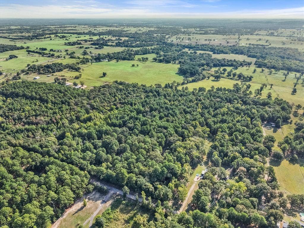 6723 County Road 4837, Larue, TX 75770 6723 County Road 4837, Larue, TX 75770