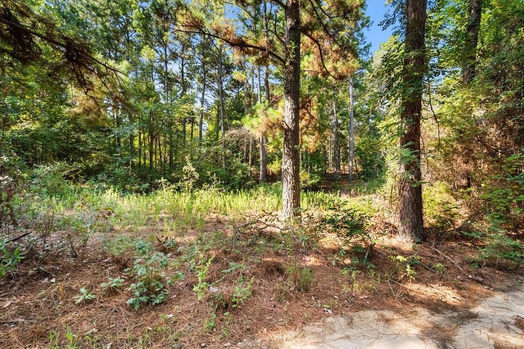 6723 County Road 4837, Larue, TX 75770 6723 County Road 4837, Larue, TX 75770