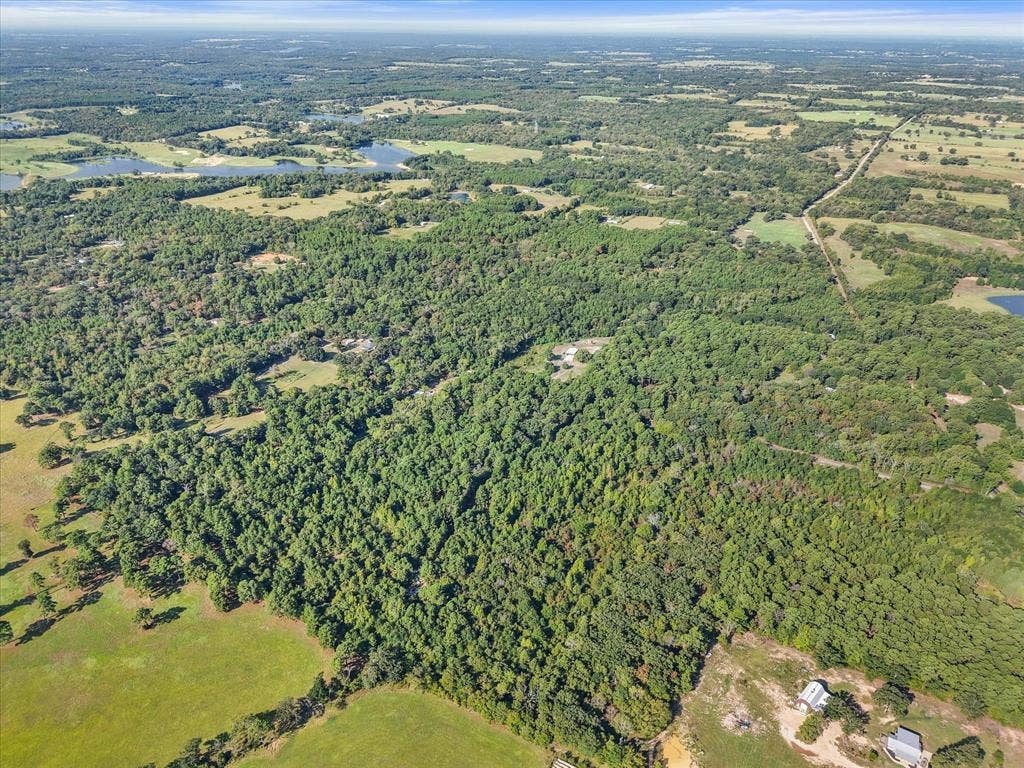 6723 County Road 4837, Larue, TX 75770 6723 County Road 4837, Larue, TX 75770
