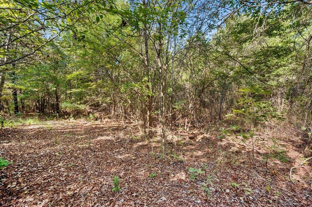 6723 County Road 4837, Larue, TX 75770 6723 County Road 4837, Larue, TX 75770