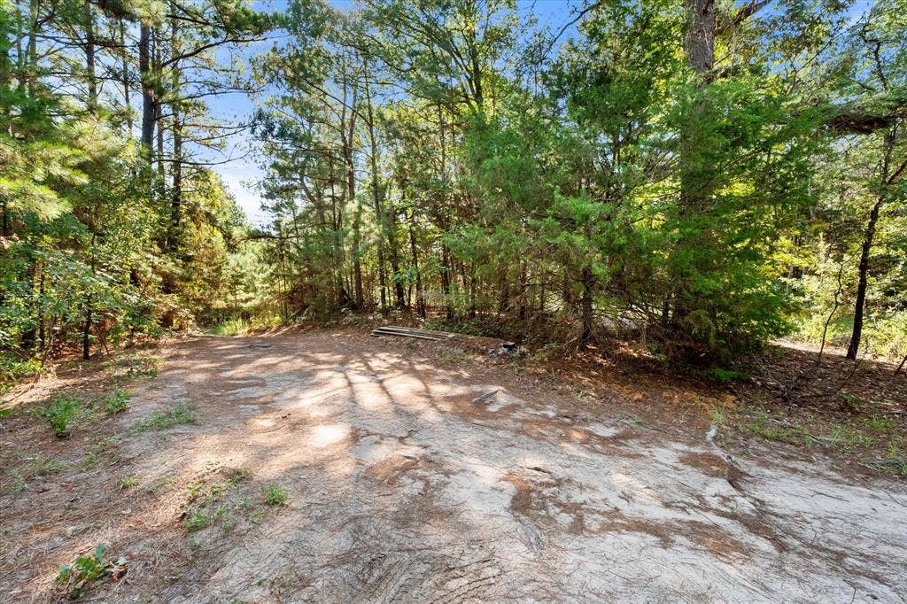 6723 County Road 4837, Larue, TX 75770 6723 County Road 4837, Larue, TX 75770