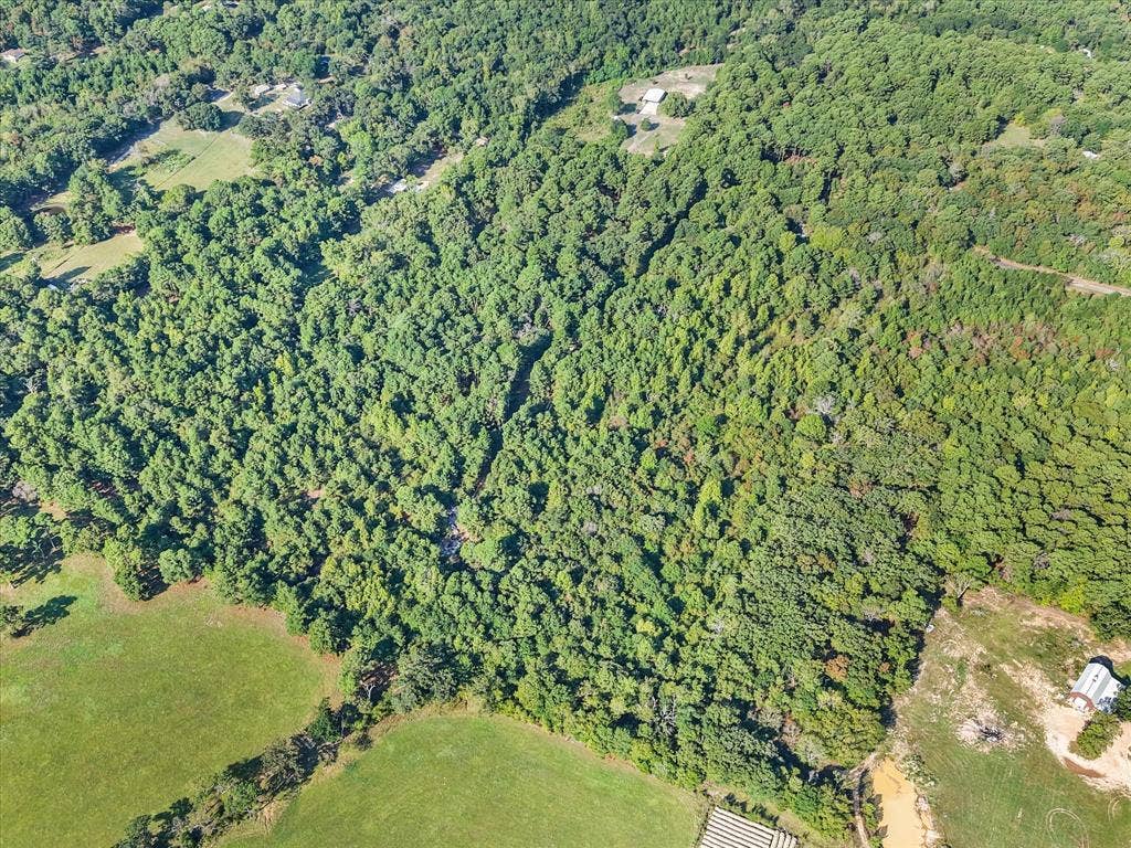 6723 County Road 4837, Larue, TX 75770 6723 County Road 4837, Larue, TX 75770