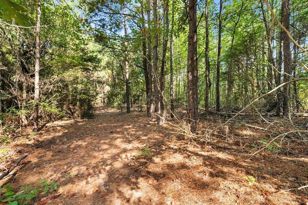 6723 County Road 4837, Larue, TX 75770 6723 County Road 4837, Larue, TX 75770
