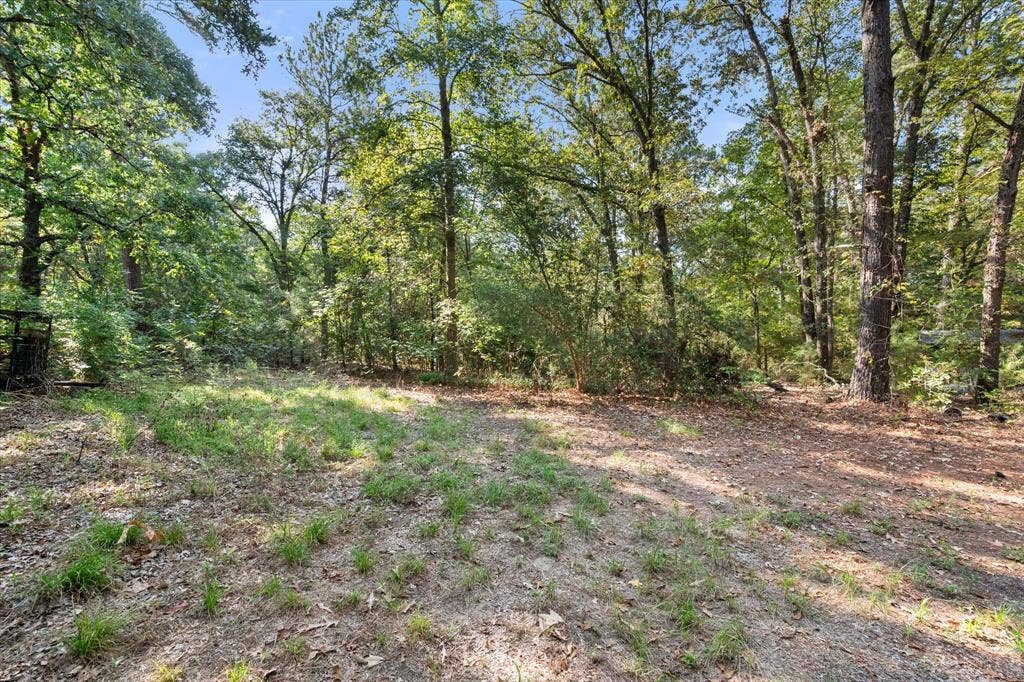 6723 County Road 4837, Larue, TX 75770 6723 County Road 4837, Larue, TX 75770