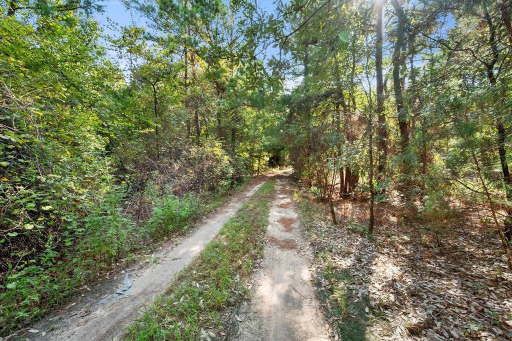 6723 County Road 4837, Larue, TX 75770 6723 County Road 4837, Larue, TX 75770