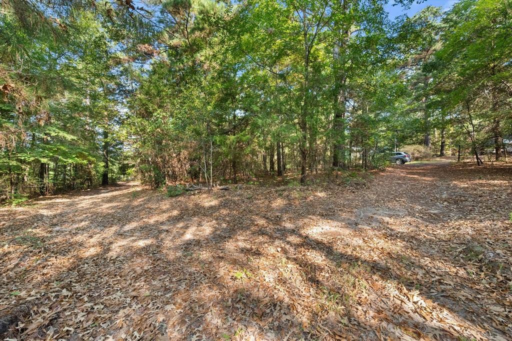 6723 County Road 4837, Larue, TX 75770 6723 County Road 4837, Larue, TX 75770