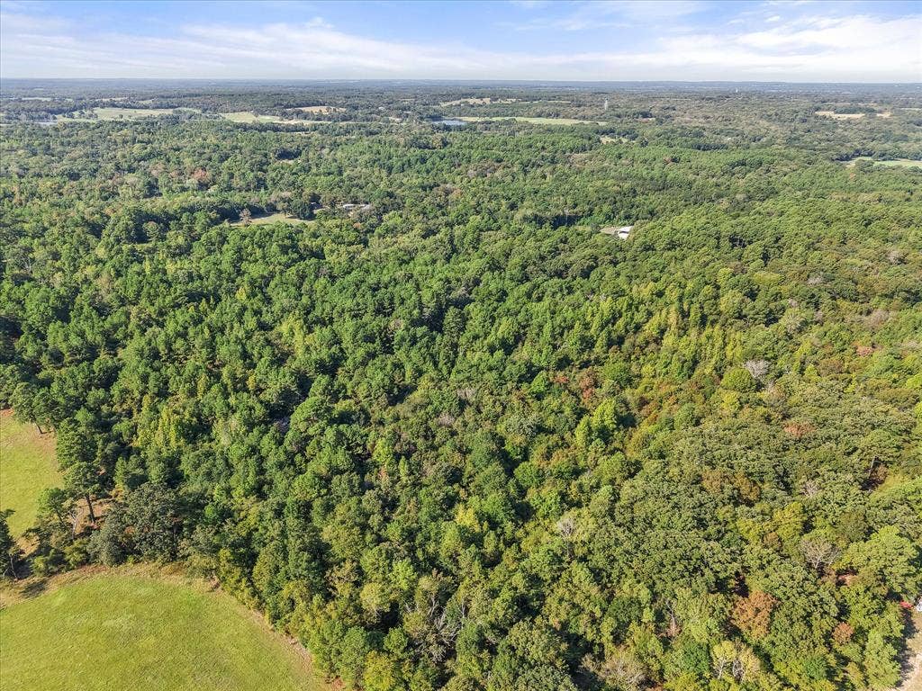 6723 County Road 4837, Larue, TX 75770 6723 County Road 4837, Larue, TX 75770