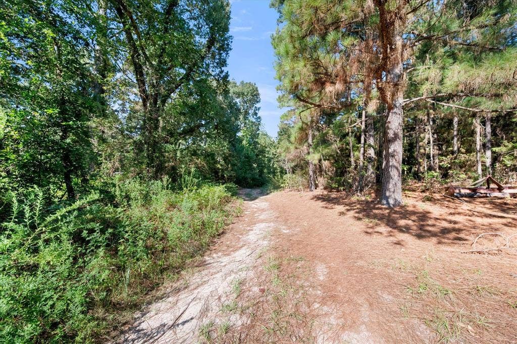 6723 County Road 4837, Larue, TX 75770 6723 County Road 4837, Larue, TX 75770