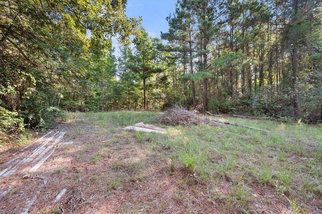 6723 County Road 4837, Larue, TX 75770 6723 County Road 4837, Larue, TX 75770