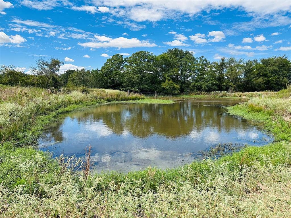 14203 County Road 2900, Eustace, TX 75124 14203 County Road 2900, Eustace, TX 75124