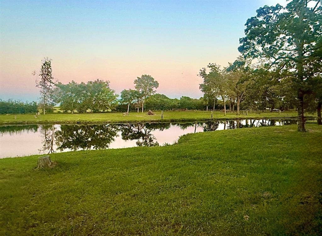 View of tranquil pond, mature trees, and natural landscaping