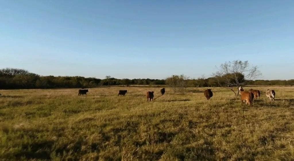 1179 E FM 813, Palmer, TX 75152